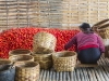 Tomates - nyang shwe - Birmanie