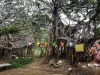 Banyan Tree - Phimaï - Thaïlande
