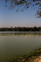 Shwedagon pagoda vue du lac - Birmanie
